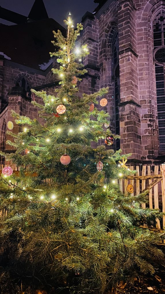 Halberstädter Weihnachtsbaum für alle