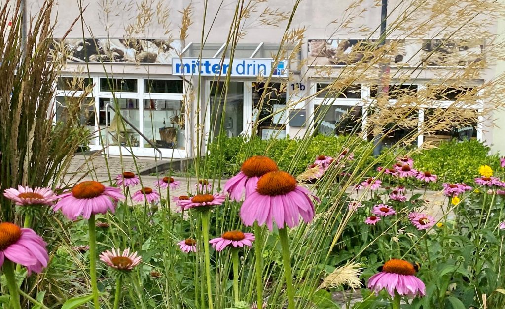 mittendrin Werkstattladen im Sommer