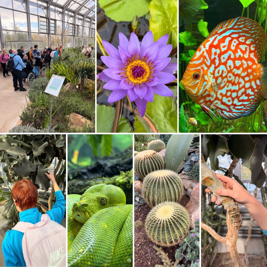 Exkursion Gruson Gewäschshäuser Magdeburg